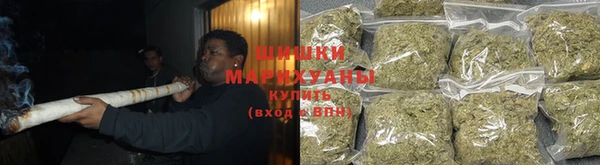 PSILOCYBIN Абдулино
