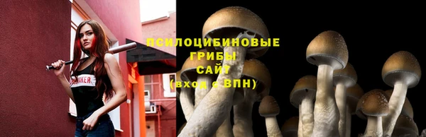 PSILOCYBIN Абдулино