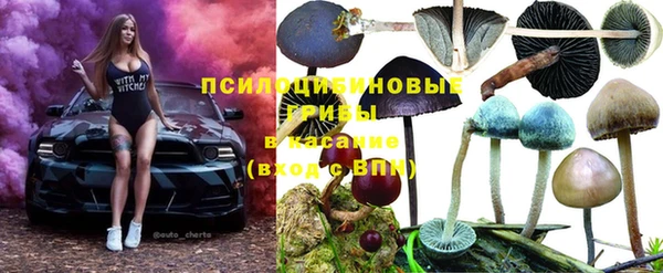МДПВ Нефтекумск